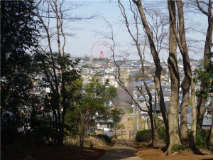 夢の遊歩道からの眺望