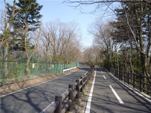 多摩湖自転車道