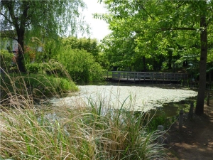 丸池公園