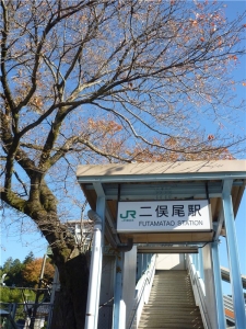 JR青梅線　二俣尾駅