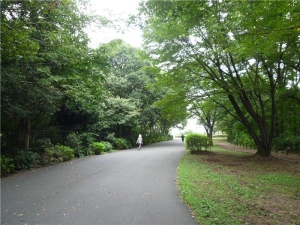 小山内裏公園・戦車道