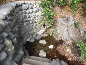 諏訪神社の湧水