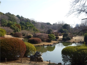 旧東京医学校本館から見る小石川植物園