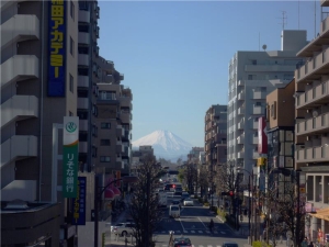 富士見テラスから富士山を望む