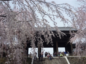 東郷寺