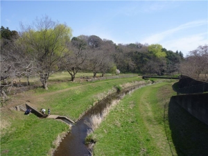 野川