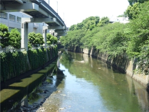 江戸川橋から神田川を見る