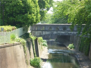 神田川の塚山橋