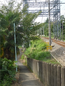 西武多摩川線とまむし坂