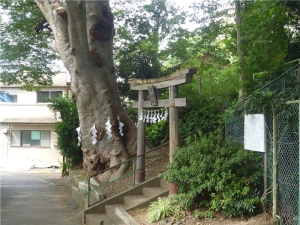 瀧神社