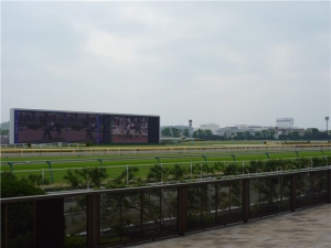 東京競馬場