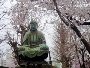 桜の下の釈迦如来坐像