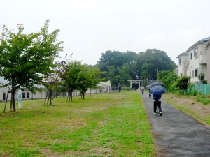 写真前方に見えるのが日枝神社