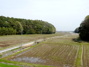 松虫川橋からの眺め