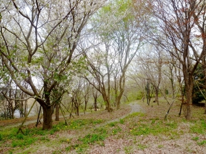 松虫姫公園