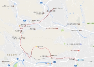 横沢入～大久野のフジ　マップ