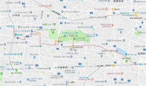 小金井桜MAP