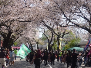 桜祭り（喜平町桜通り）